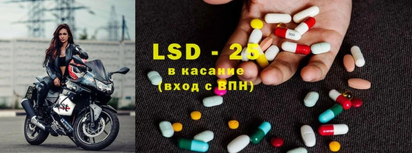 PSILOCYBIN Медвежьегорск