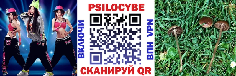 Галлюциногенные грибы ЛСД  Карачев 
